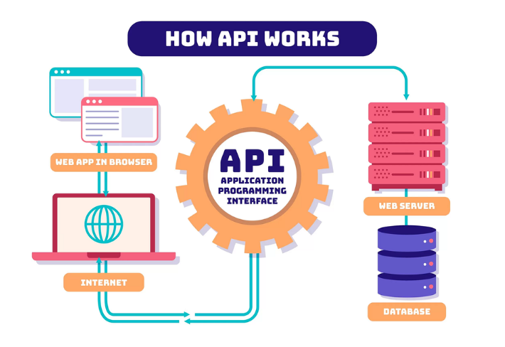 API & Backend Systems
